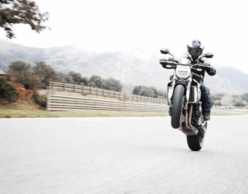 67875456_3214476741926137_6038201629893722112_n